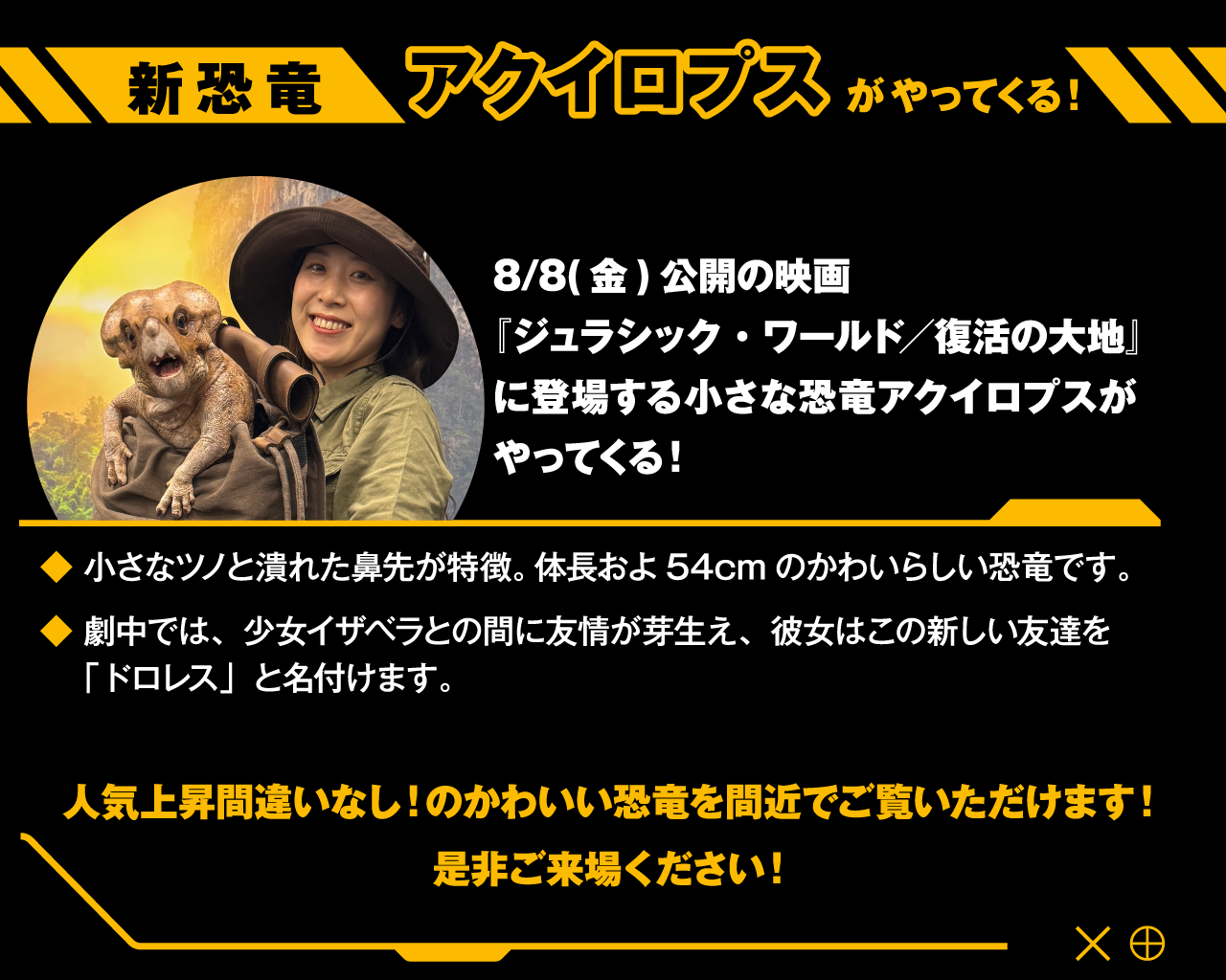 本作にてシリーズ初登場となる注目の小さな恐竜「アクイロプス」がやってきます！